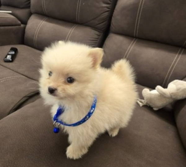Charlie