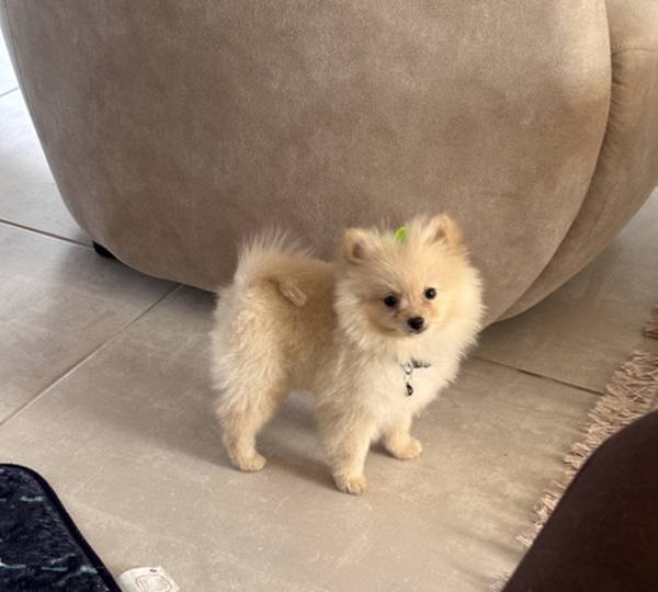 Charlie