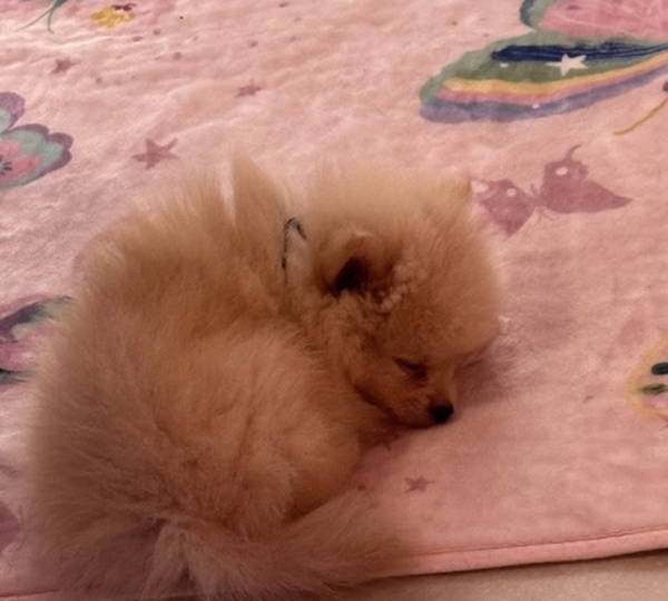 Charlie