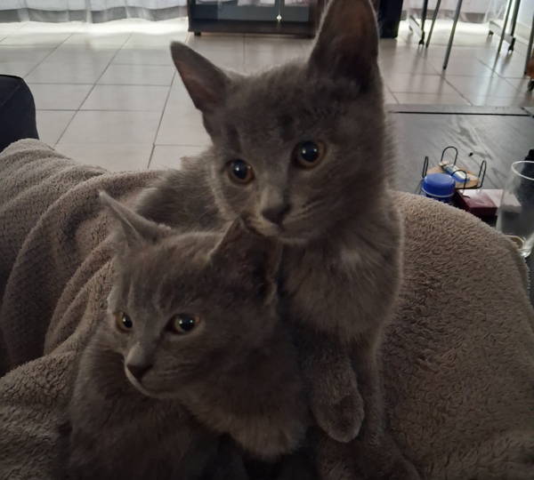 Jelly & Bean