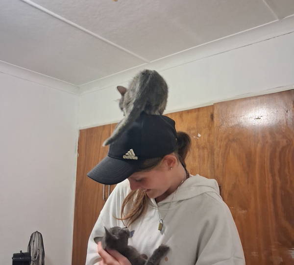 Jelly & Bean