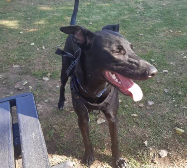 Onyx
