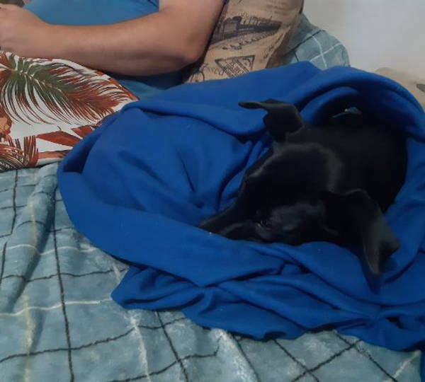 Onyx