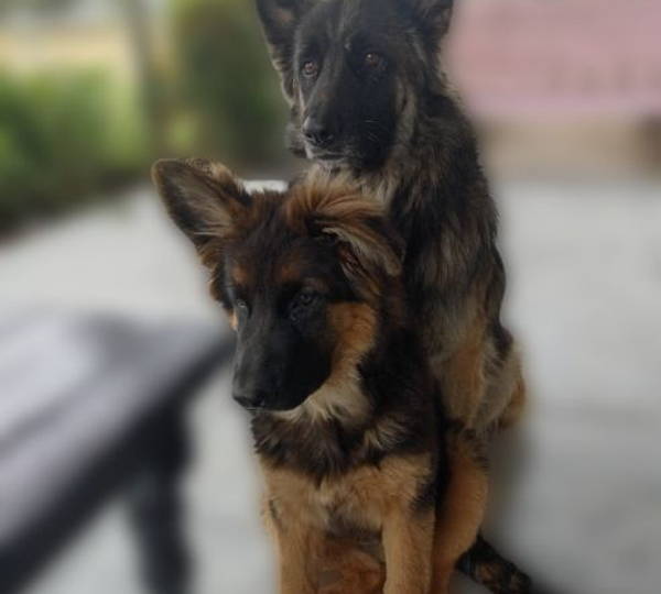 Tristan & Kenzi