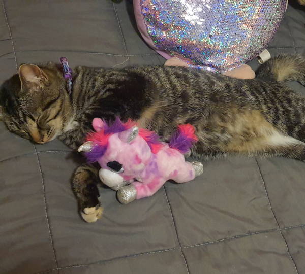 Luna