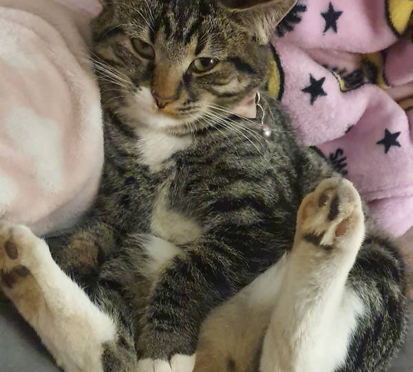 Luna