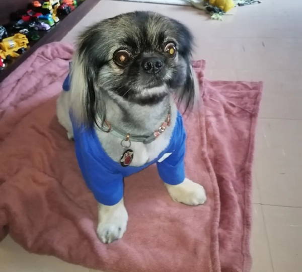Milo
