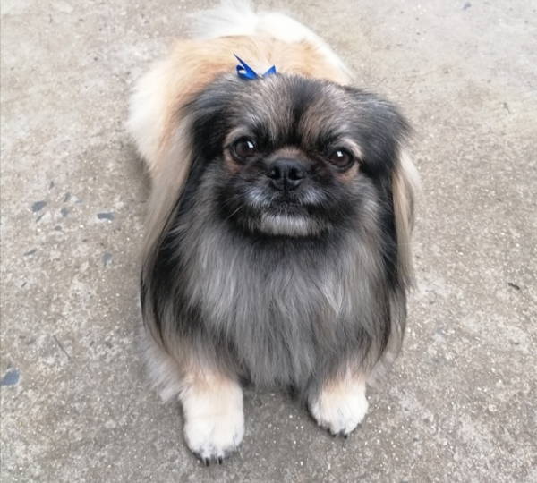 Milo