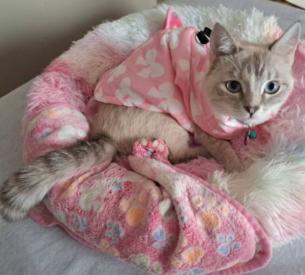 Milly