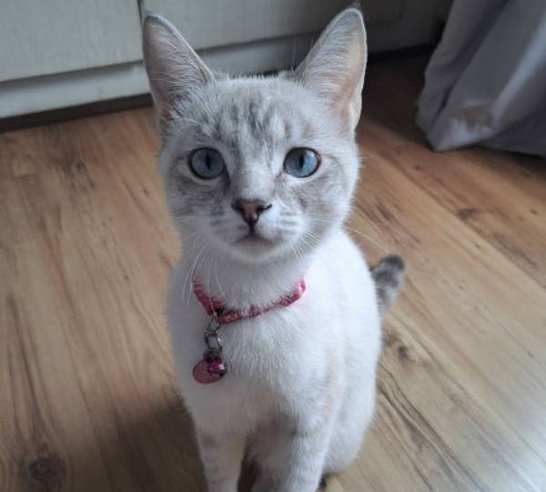 Milly