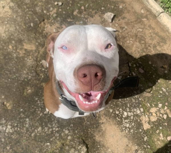 Skyy