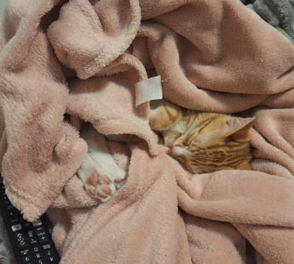 Tigger