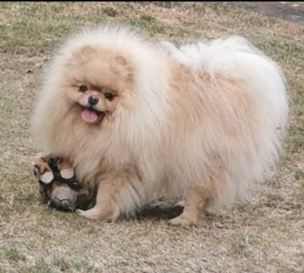 Turi