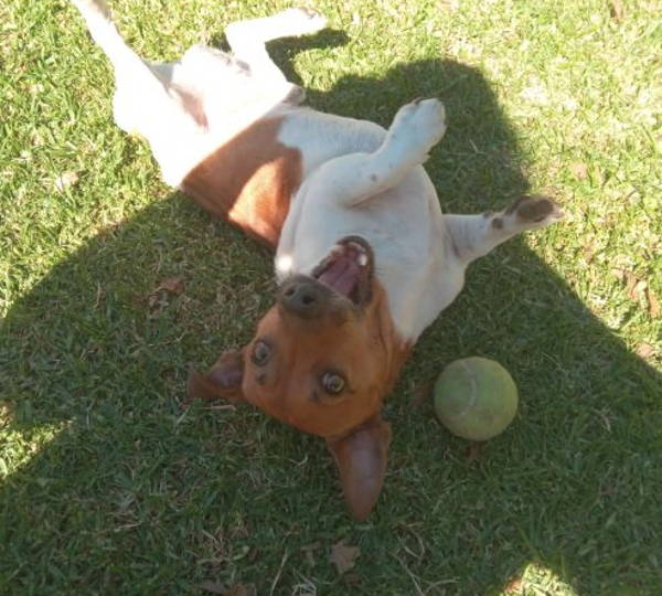 Stompie