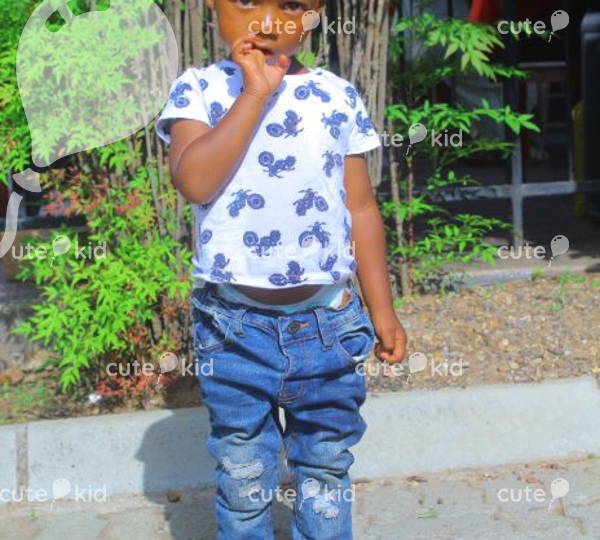 Otshegofetse