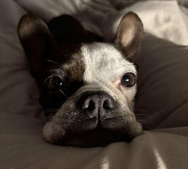 Lola