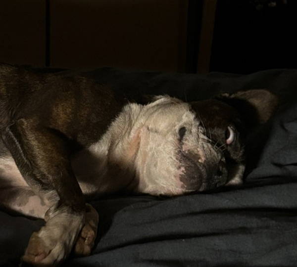 Lola