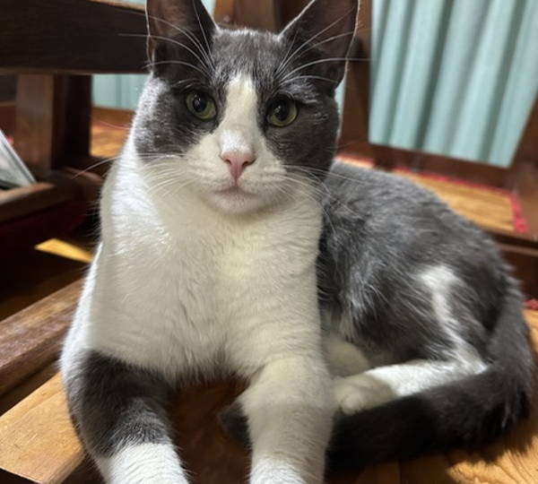 Max