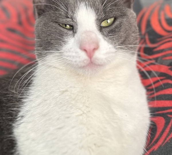 Max