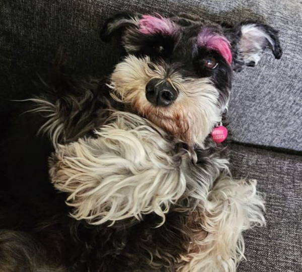 Molly