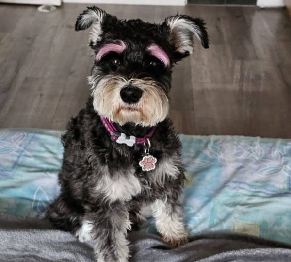 Molly