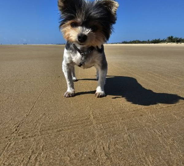 Charlie
