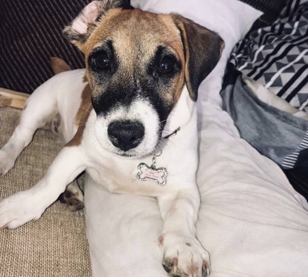 Luna-Belle