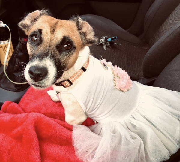 Luna-Belle