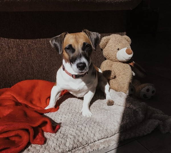 Luna-Belle
