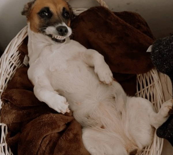 Luna-Belle