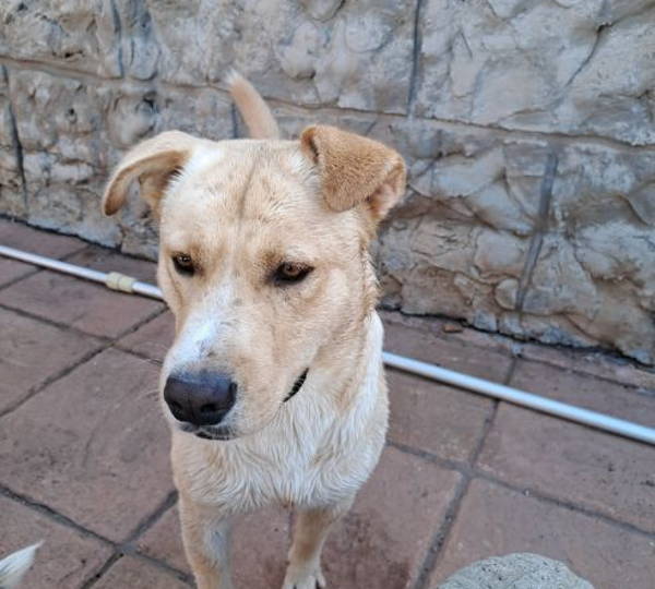 Maui