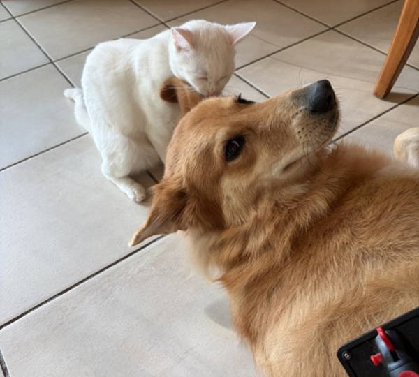 Snow & Bella