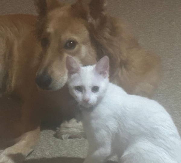 Snow & Bella