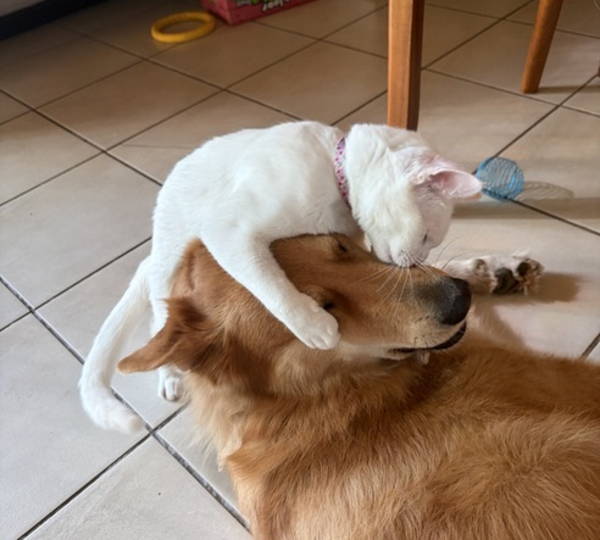 Snow & Bella