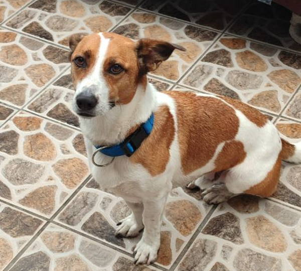 Max