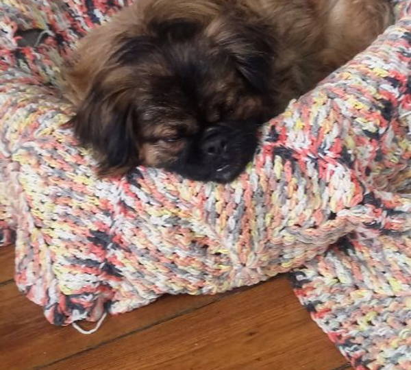 Lulu