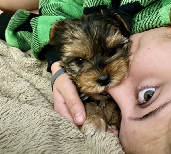 Chewy