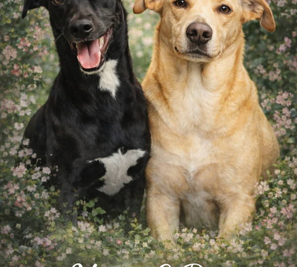 Mona & Rex