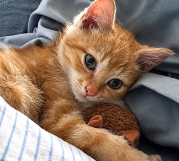 Leo