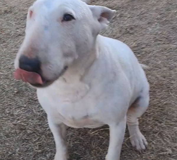 Nella