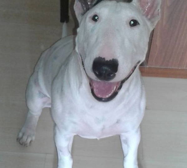 Nella