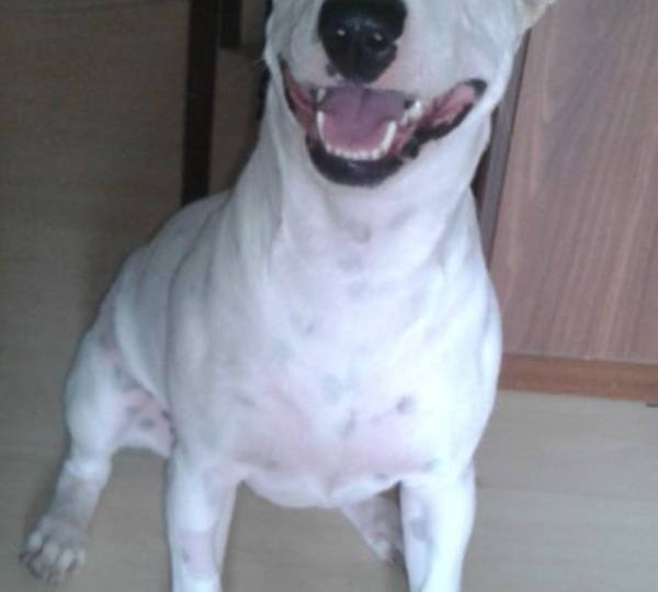 Nella