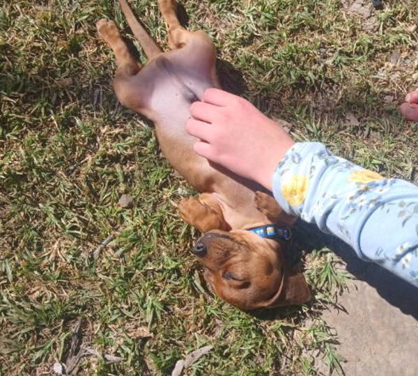 Charlie