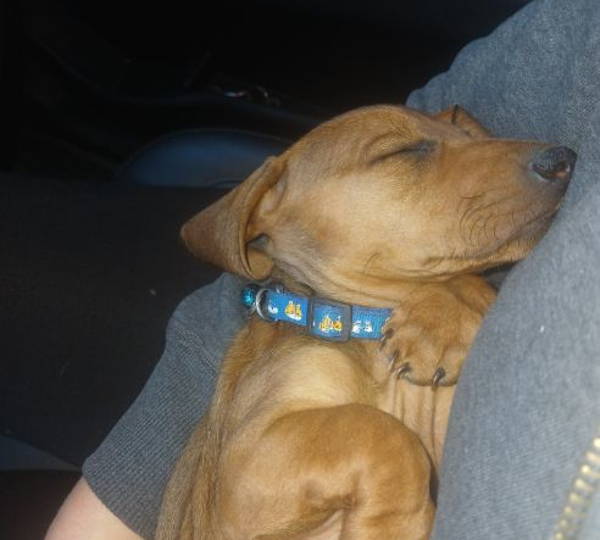 Charlie