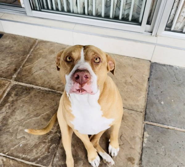Tyson