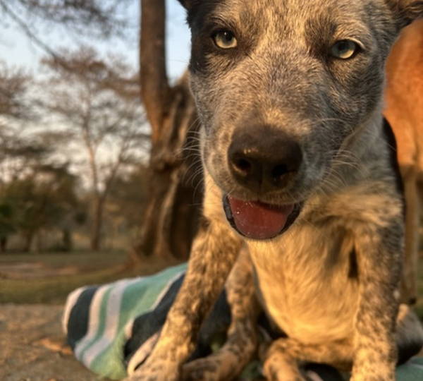 Lua