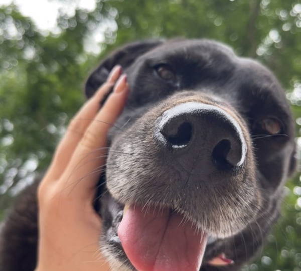 Ella