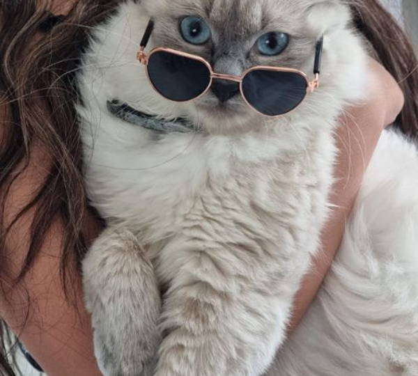 Khaleesi