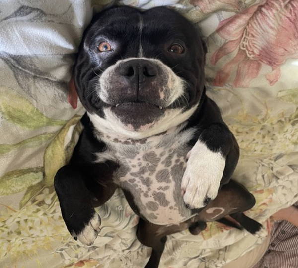 Faf