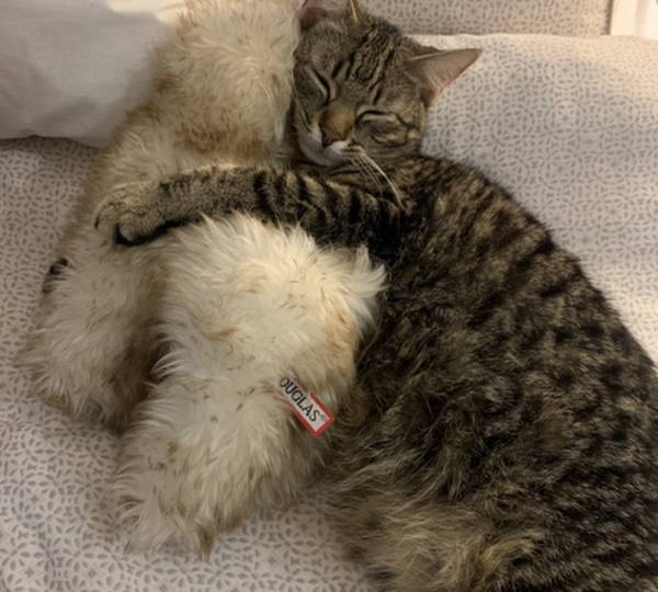 Saber & Toby